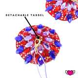 Red & Purple Beaded Pasties with Detachable Tassels / Burlesque Nipple Covers / Fancy Decorative Nipple Pasties #30313